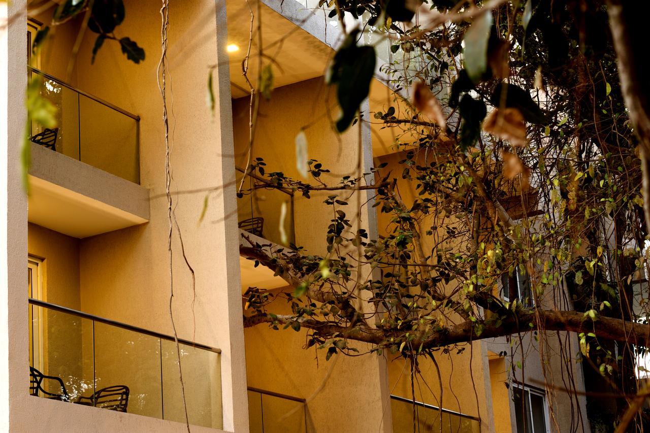 Amani Hotel
